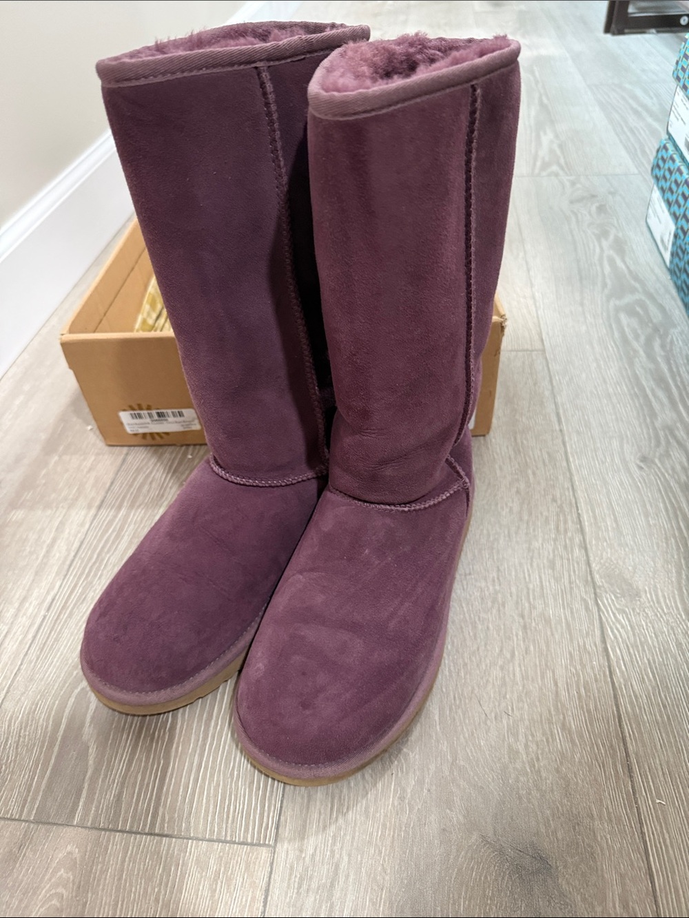 UGG Tall Suede Boots in Plum